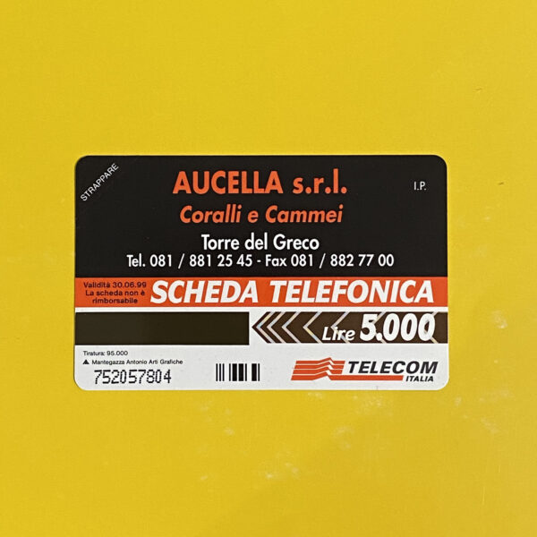 G593 CC2650 AG205 AUCELLA NUOVA - immagine 2